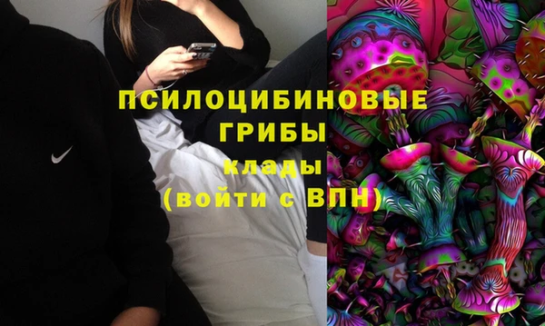 спайс Богородицк