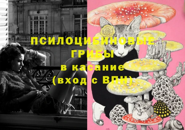 спайс Богородск