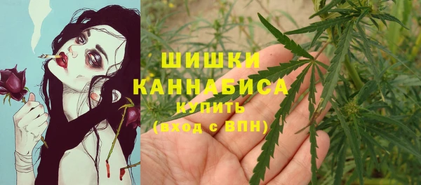 спайс Богородск